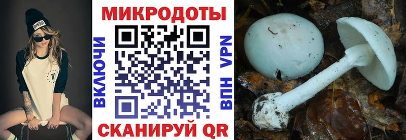 продажа наркотиков  Касимов  Псилоцибиновые грибы Magic Shrooms 